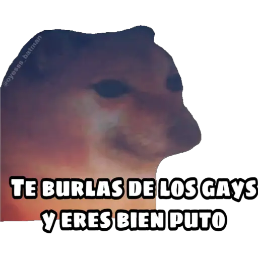 En fin la hipocresía 