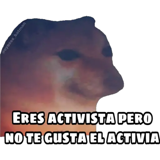 En fin la hipocresía 