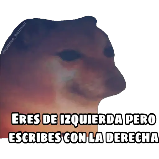 En fin la hipocresía 