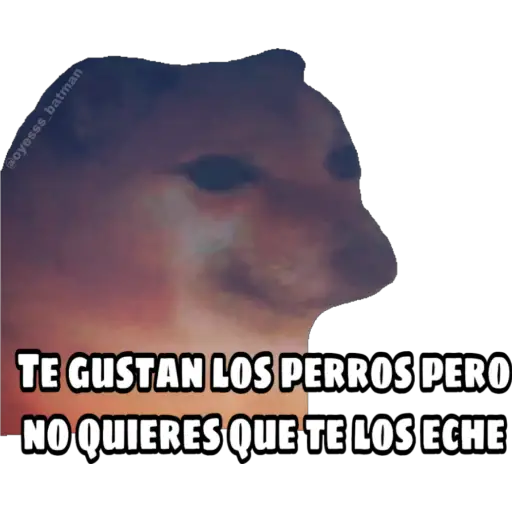 En fin la hipocresía 