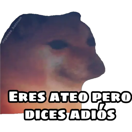En fin la hipocresía 