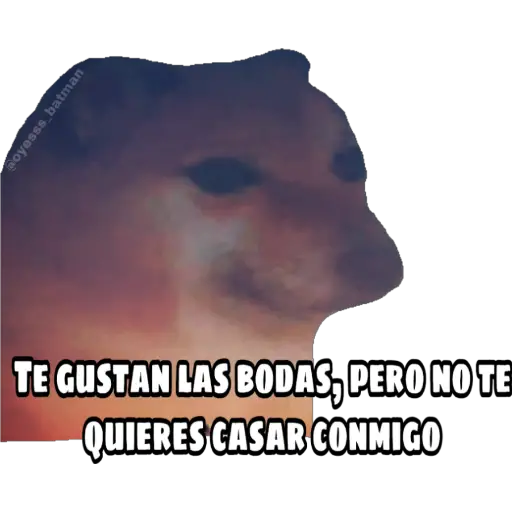 En fin la hipocresía 