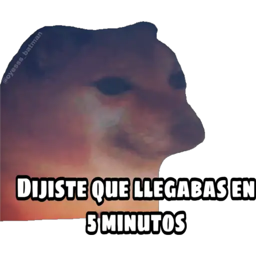En fin la hipocresía 