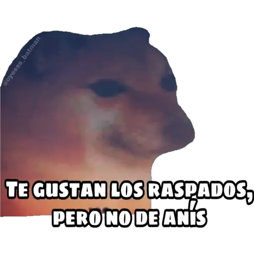En fin la hipocresía 