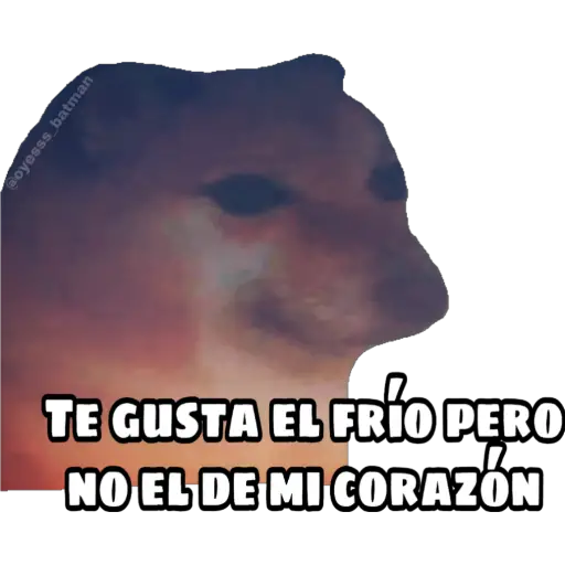 En fin la hipocresía 
