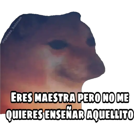 En fin la hipocresía 