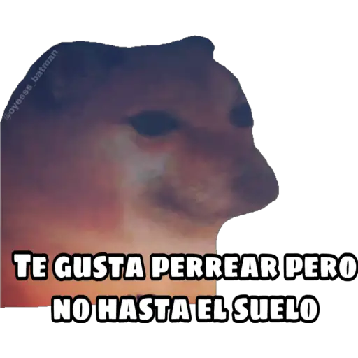 En fin la hipocresía 