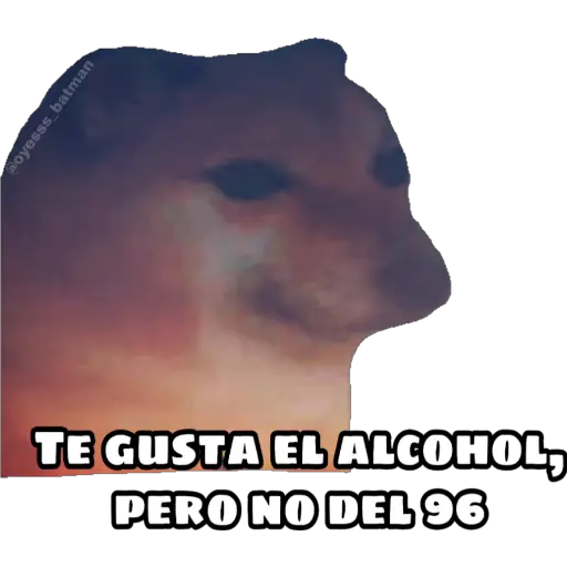 En fin la hipocresía 