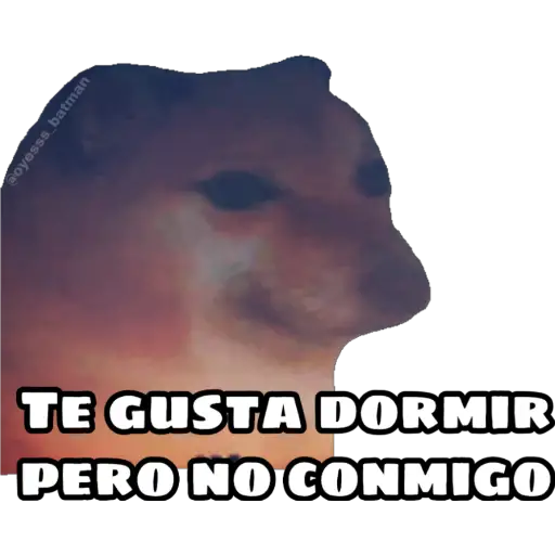 En fin la hipocresía 