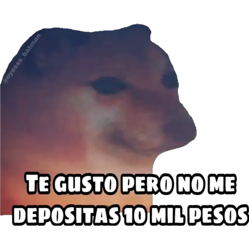 En fin la hipocresía 