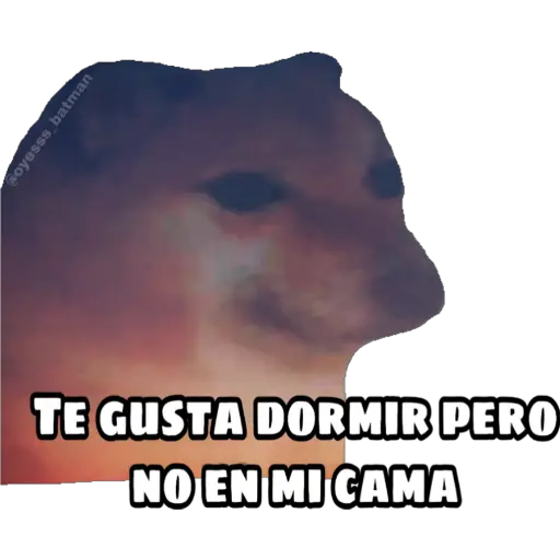 En fin la hipocresía  preview