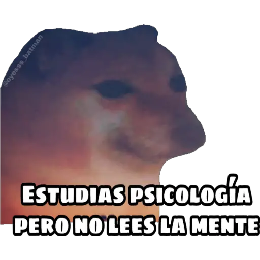 En fin la hipocresía 
