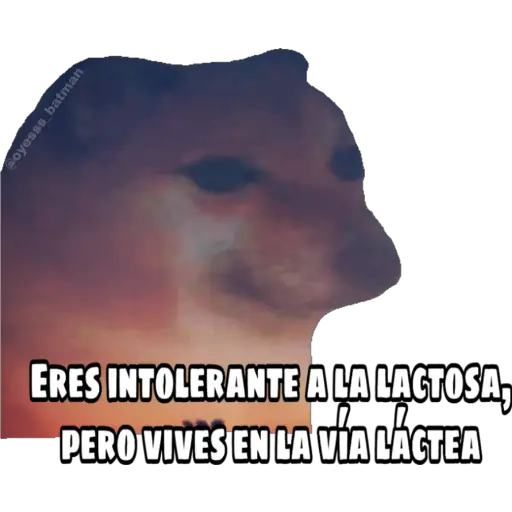 En fin la hipocresía 