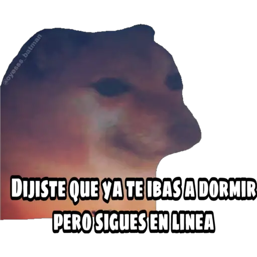 En fin la hipocresía 
