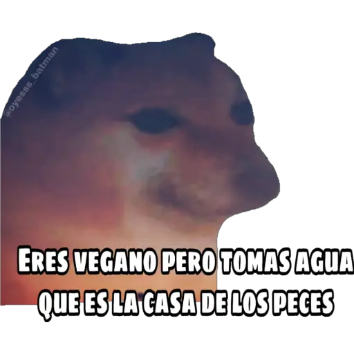 En fin la hipocresía 