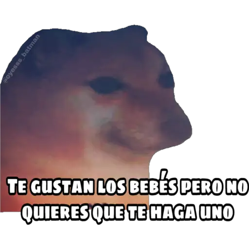 En fin la hipocresía 