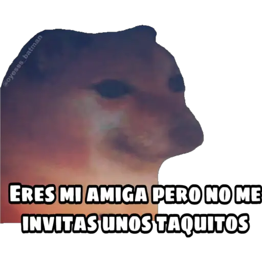 En fin la hipocresía  preview