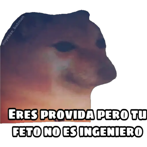 En fin la hipocresía 