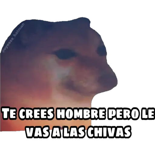En fin la hipocresía 