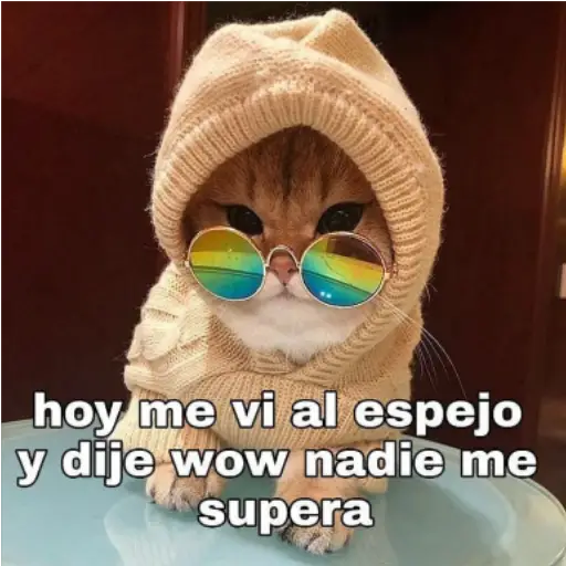 Frases UwU 