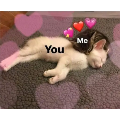 Frases UwU 