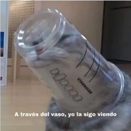 Frases UwU 