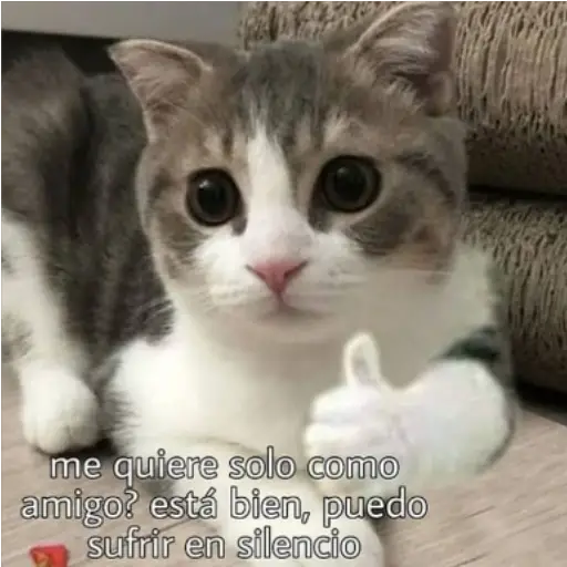 Frases UwU 