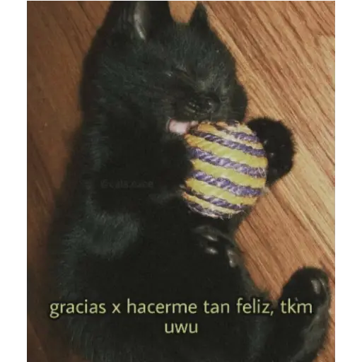 Frases UwU 