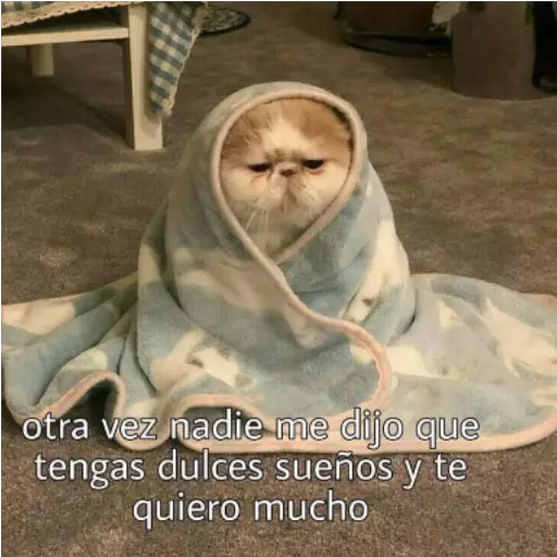 Frases UwU  preview