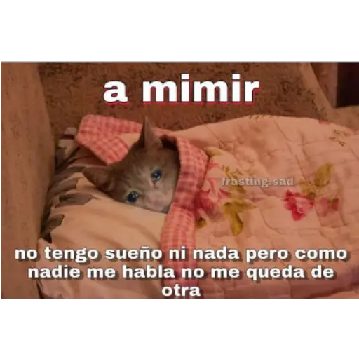 Frases UwU 