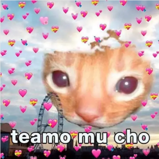 Frases UwU 
