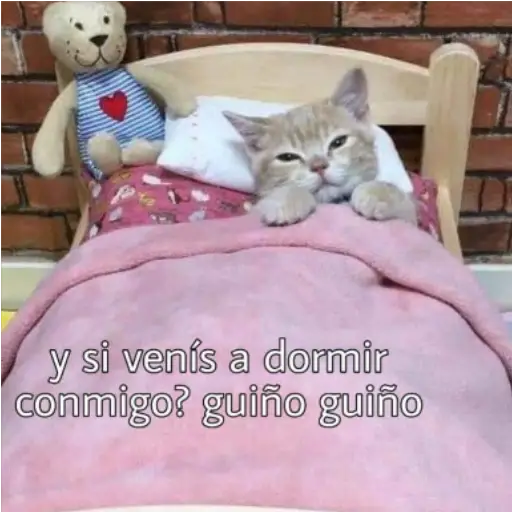 Frases UwU 