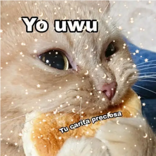 Frases UwU 