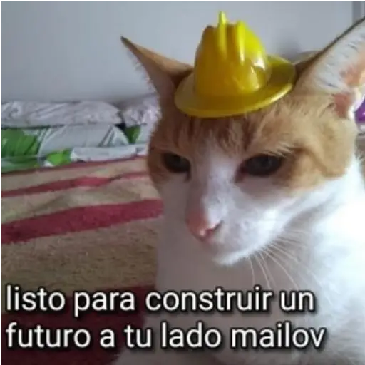 Frases UwU 