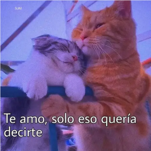 Frases UwU 