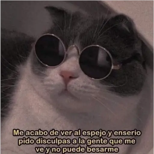 Frases UwU 