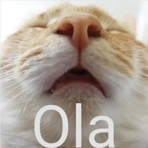 Frases UwU 
