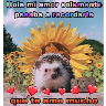 Frases UwU 