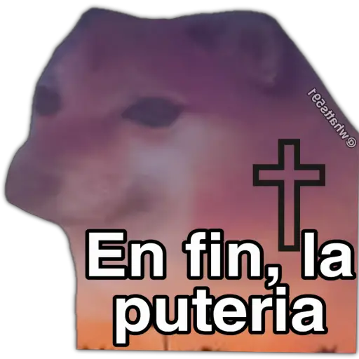Hipocresía Cheems 2.0 