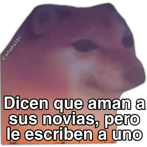 Hipocresía Cheems 2.0 