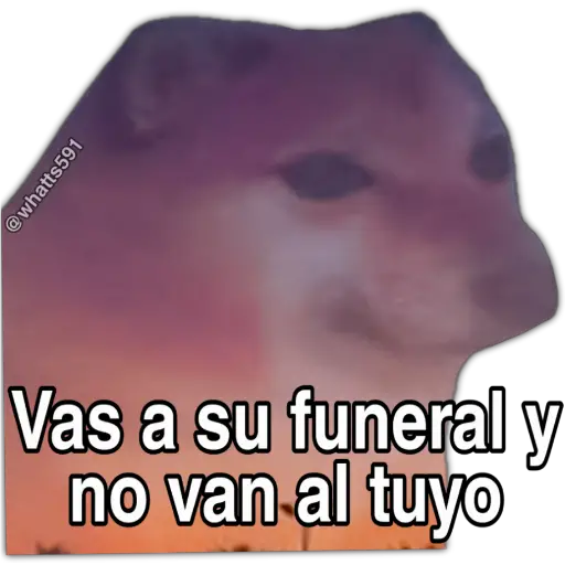 Hipocresía Cheems 2.0 