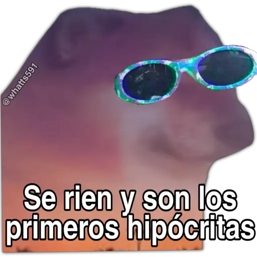 Hipocresía Cheems 2.0 