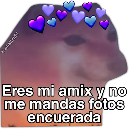Hipocresía Cheems 2.0 
