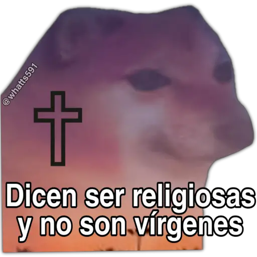 Hipocresía Cheems 2.0 