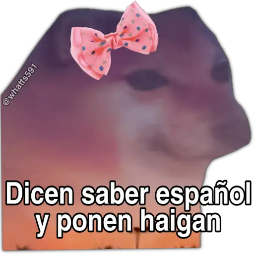 Hipocresía Cheems 2.0 