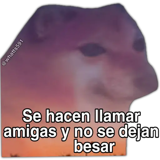Hipocresía Cheems 2.0 
