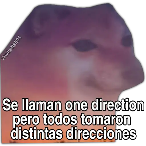 Hipocresía Cheems 2.0 