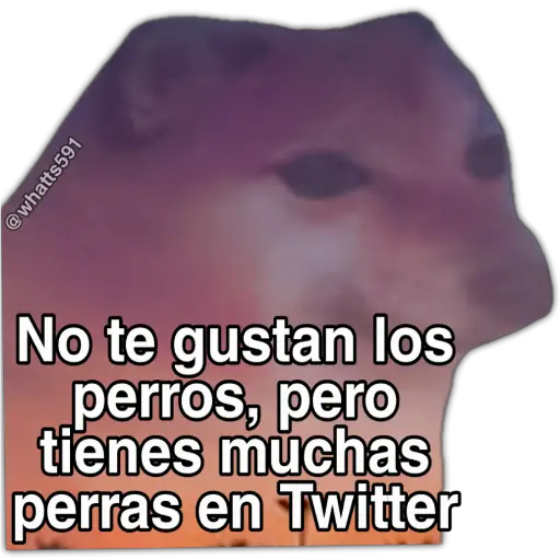 Hipocresía Cheems 2.0 