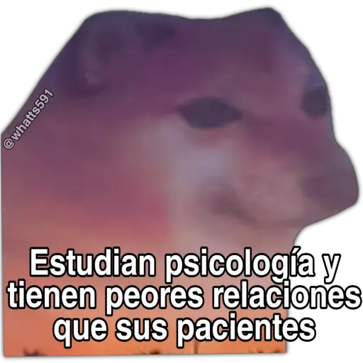 Hipocresía Cheems 2.0 