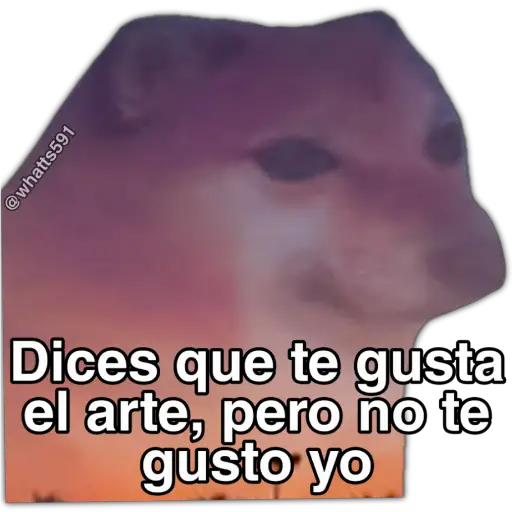 Hipocresía Cheems 2.0 